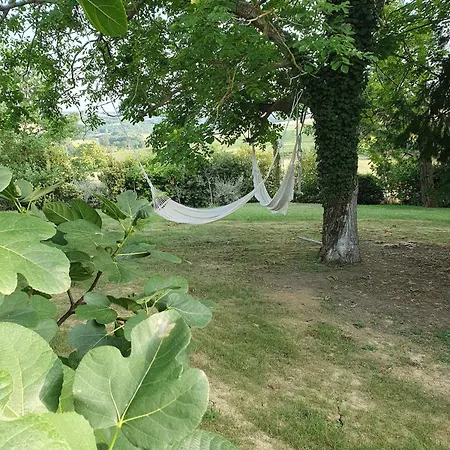 Cocooning 4 Etoiles Avec Et Piscine Nyaraló *